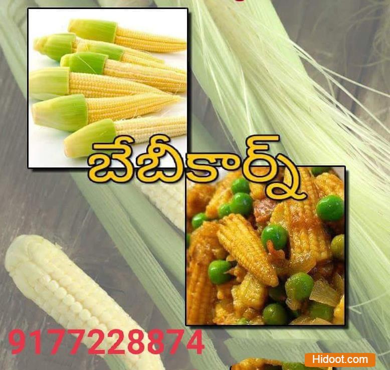sri shiva balaji car travels and frozen foods tenali in guntur - Photo No.7