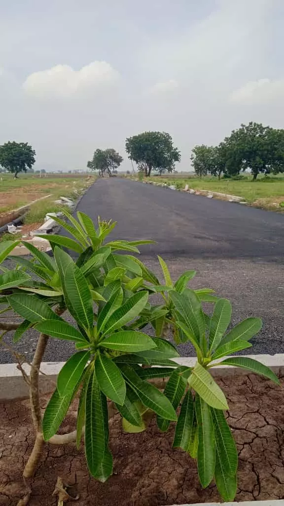 Siri Real Estate Agents Gundimeda Mangalagiri In Guntur - Photo No. 21