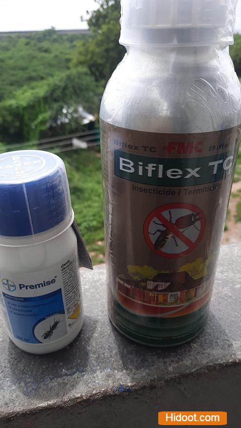 Pest Control Of Hyderabad Near Madhapur In Hyderabad - Photo No. 21