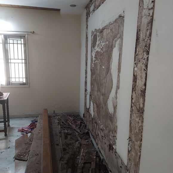 Hi Care Pest Control Services Mehdipatnam In Hyderabad - Photo No. 41