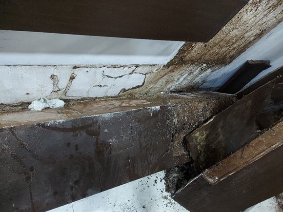 Hi Care Pest Control Services Mehdipatnam In Hyderabad - Photo No. 21