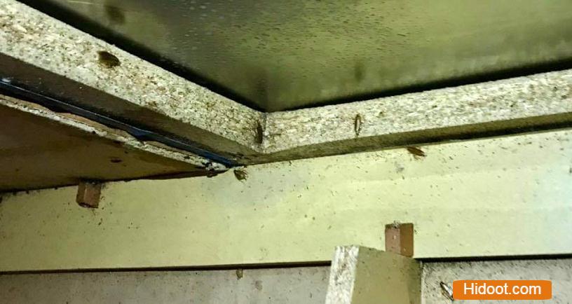 Durga Bhavani Pest Control Services Near Manikonda In Hyderabad - Photo No. 81