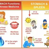 Siri Sampoorna Nature Cure Hospital Manikonda In Hyderabad - Photo No. 31
