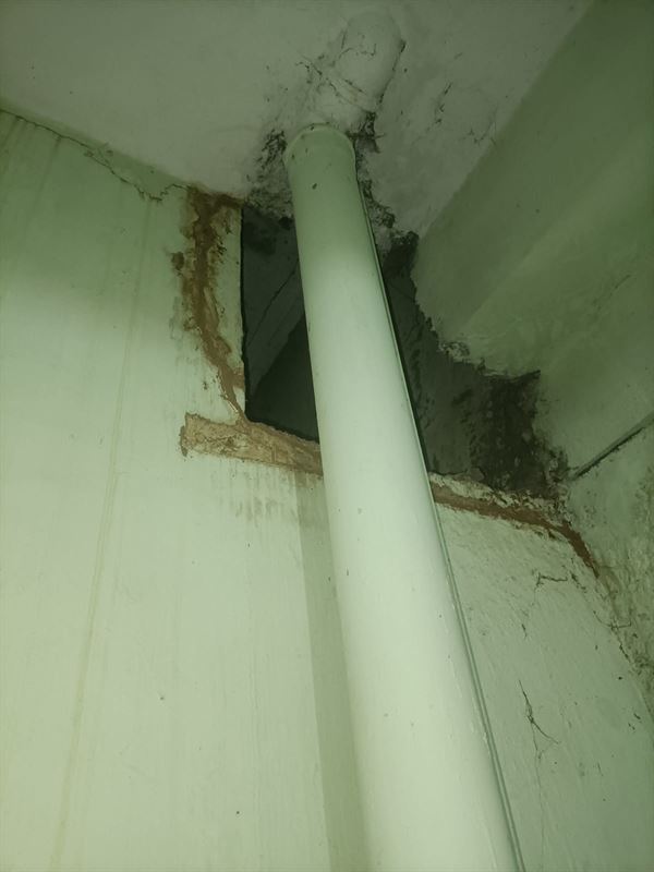 Hi Five Pest Control Panjagutta In Hyderabad - Photo No. 21