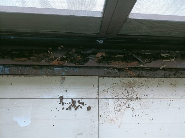 Hi Five Pest Control Panjagutta In Hyderabad - Photo No. 01