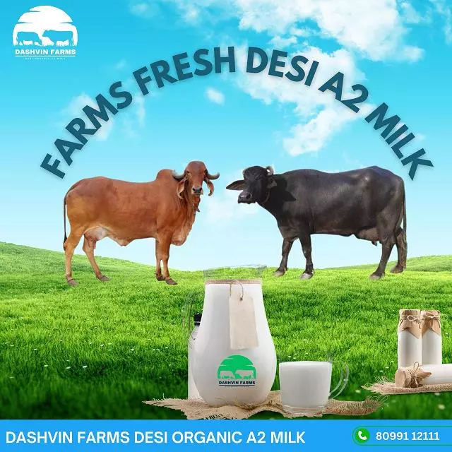 Dashvin Farms Gandipet In Hyderabad - Photo No. 21