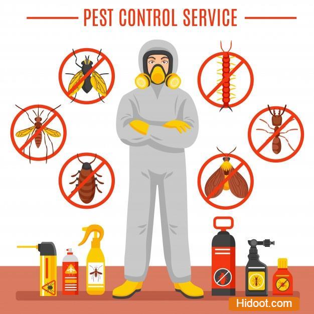 Jai Durga Pest I Care Control Pest Control Services Near Chilkalguda In Hyderabad Telangana - Photo No. 11