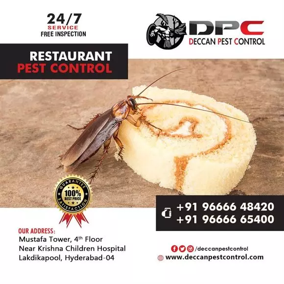 Deccan Pest Control Lakdikapool In Hyderabad - Photo No. 01