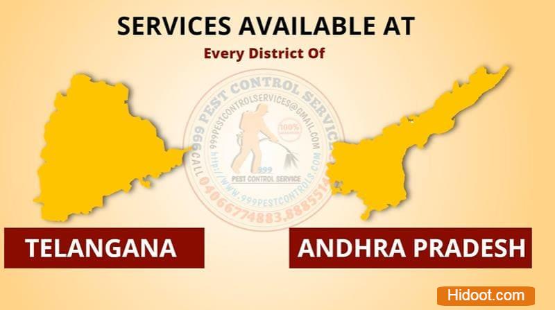 999 Pest Control Services Near Basheerbagh In Hyderabad - Photo No. 41