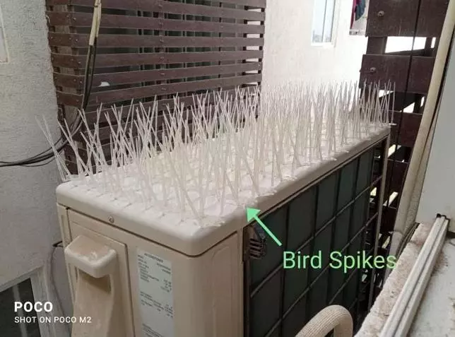 Pavan Safety Nets Saroornagar In Hyderabad - Photo No. 31