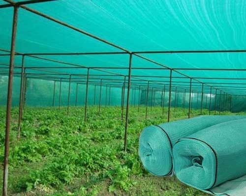 msn safety nets saroor nagar in hyderabad telangana - Photo No.2