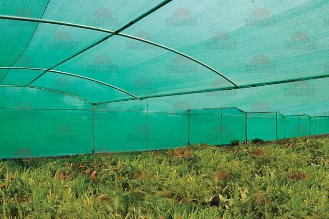 msn safety nets saroor nagar in hyderabad telangana - Photo No.1