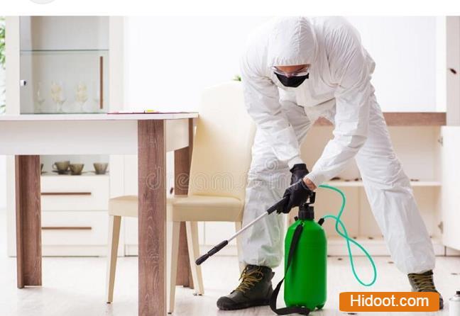 Jk Pest Control Gandipet In Rangareddy - Photo No. 41