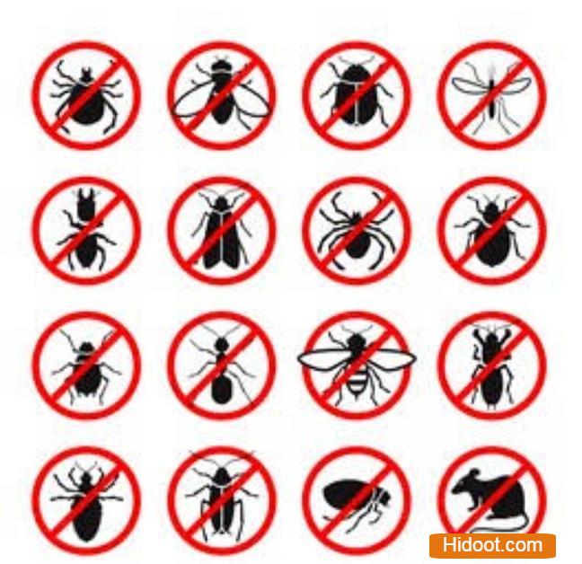 Jk Pest Control Gandipet In Rangareddy - Photo No. 01