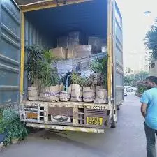 dhanalaxmi packers and movers lb nagar in hyderabad - Photo No.6