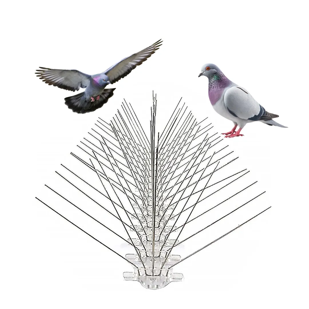 Lakshmi Safety Nets Karmanghat In Hyderabad - Photo No. 01