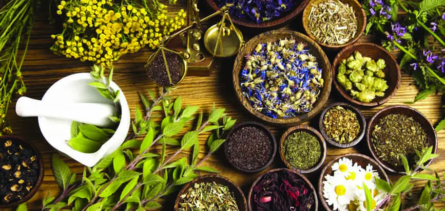 Om Sri Bhadrakali Jyotishlayam Nampally In Hyderabad - Photo No. 41