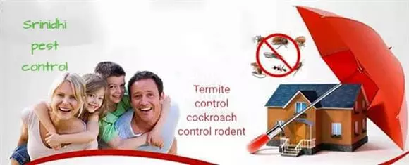 srinidhi pest control services sri nagar colony in khammam - Photo No.21