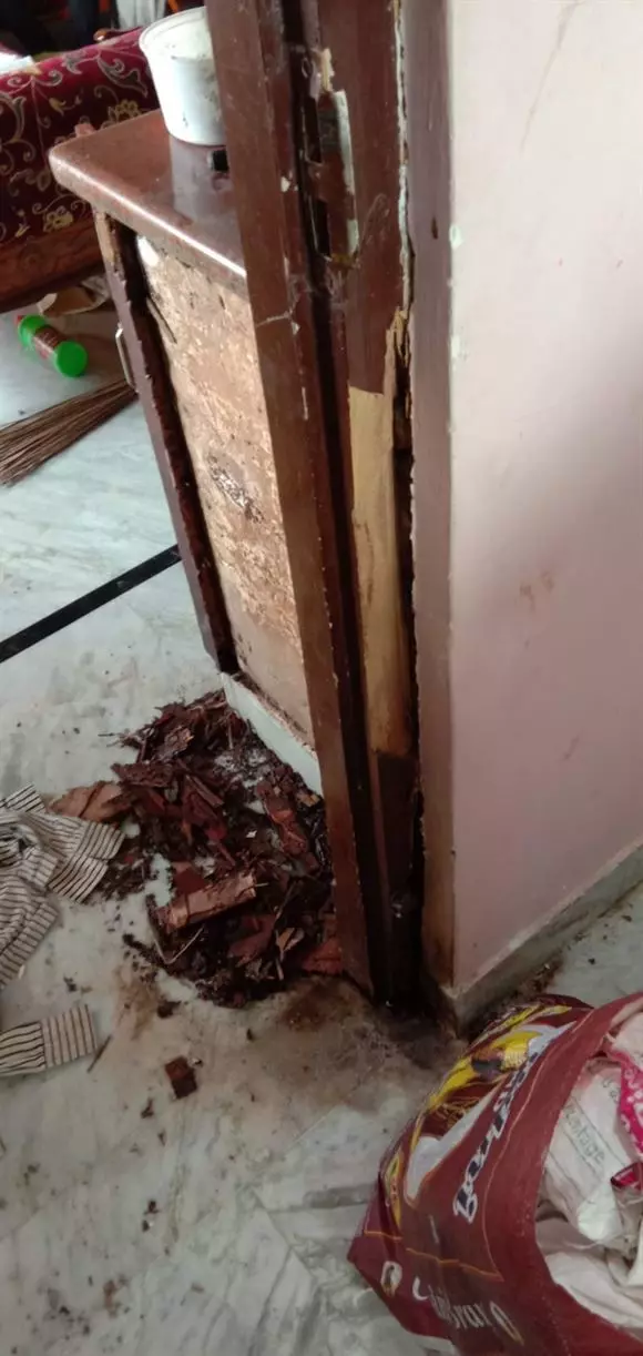 srinidhi pest control services sri nagar colony in khammam - Photo No.10