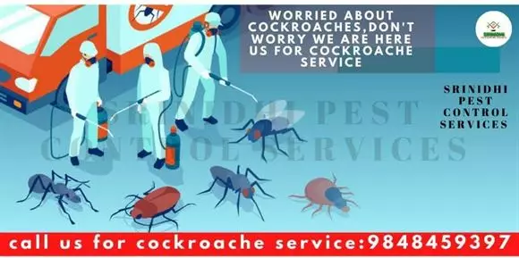 srinidhi pest control services sri nagar colony in khammam - Photo No.1