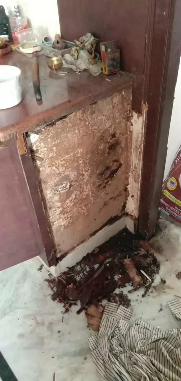 srinidhi pest control services sri nagar colony in khammam - Photo No.26