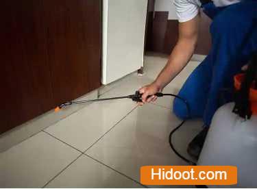 Hi Tech Pest Control Services Near Manikonda In Hyderabad Telangana - Photo No. 41