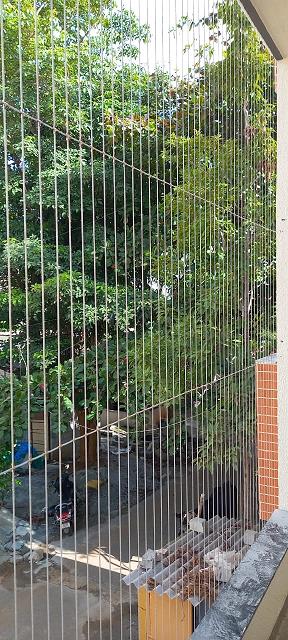 lasya safety nets main road in hyderabad - Photo No.11