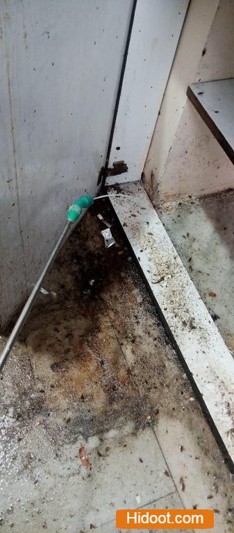Lohitha Pest Control Services Balagi Nagar In Hyderabad - Photo No. 11