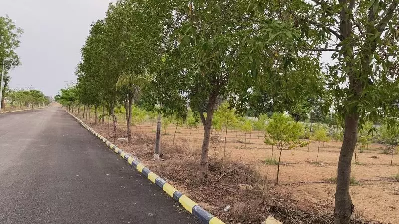 Ak Real Estate And Services Uppal In Hyderabad - Photo No. 01