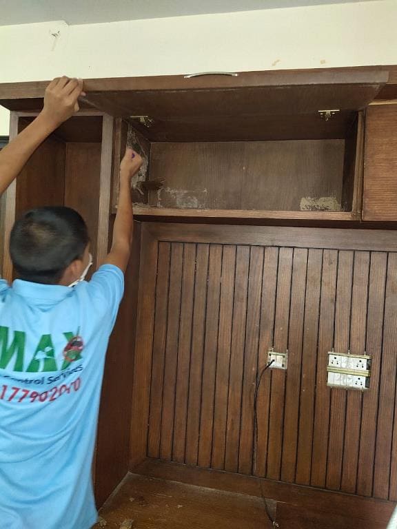 Max Pest Control Services Kukatpally Hyderabad - Photo No. 31