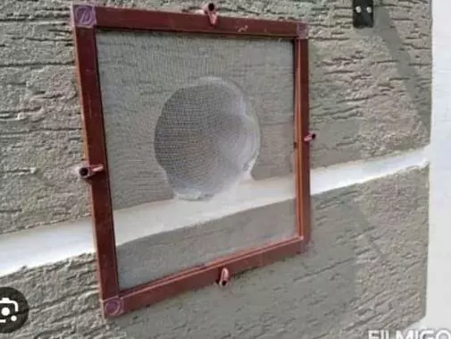 Sf Mosquito Mesh Balanagar In Hyderabad - Photo No. 71