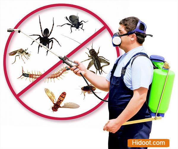 Termite Pest Control Service Miyapur In Hyderabad - Photo No. 21