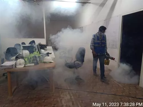 Rn Pest Control Services Gachibowli In Hyderabad Telangana - Photo No. 31