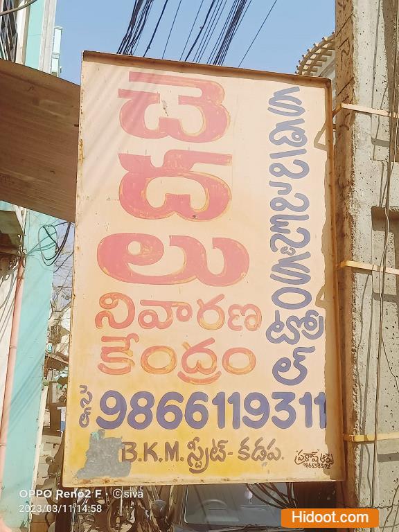 kadapa pest control bkm street in kadapa - Photo No.0