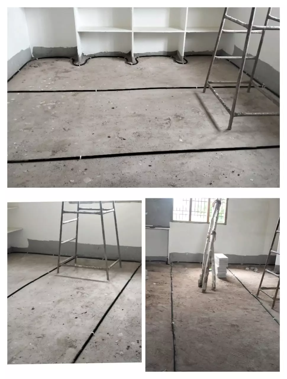 perfect pest control proddatur in kadapa - Photo No.11