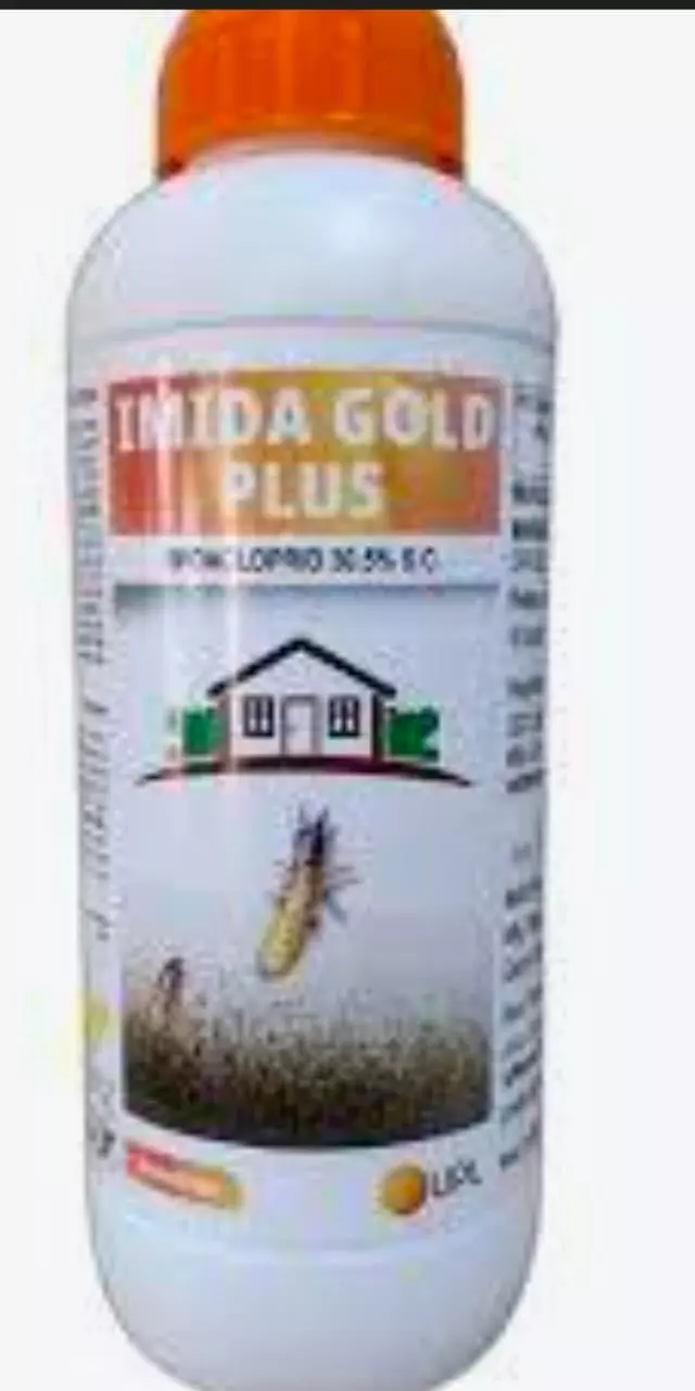 g pest control services it circle in kadapa - Photo No.2