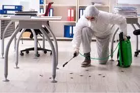 Kalyan Pest Control Services Old Post Office Road In Kakinada - Photo No. 31