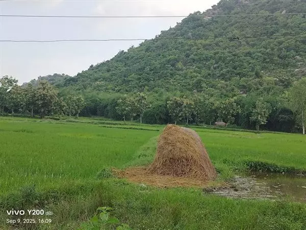 Sri Lakshmi Prasanna Nanaji Travels Bus Stand In Kakinada - Photo No. 41