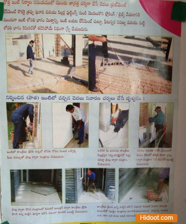 Ramasri Pest Control Services Near Jagtial In Karimnagar - Photo No. 01