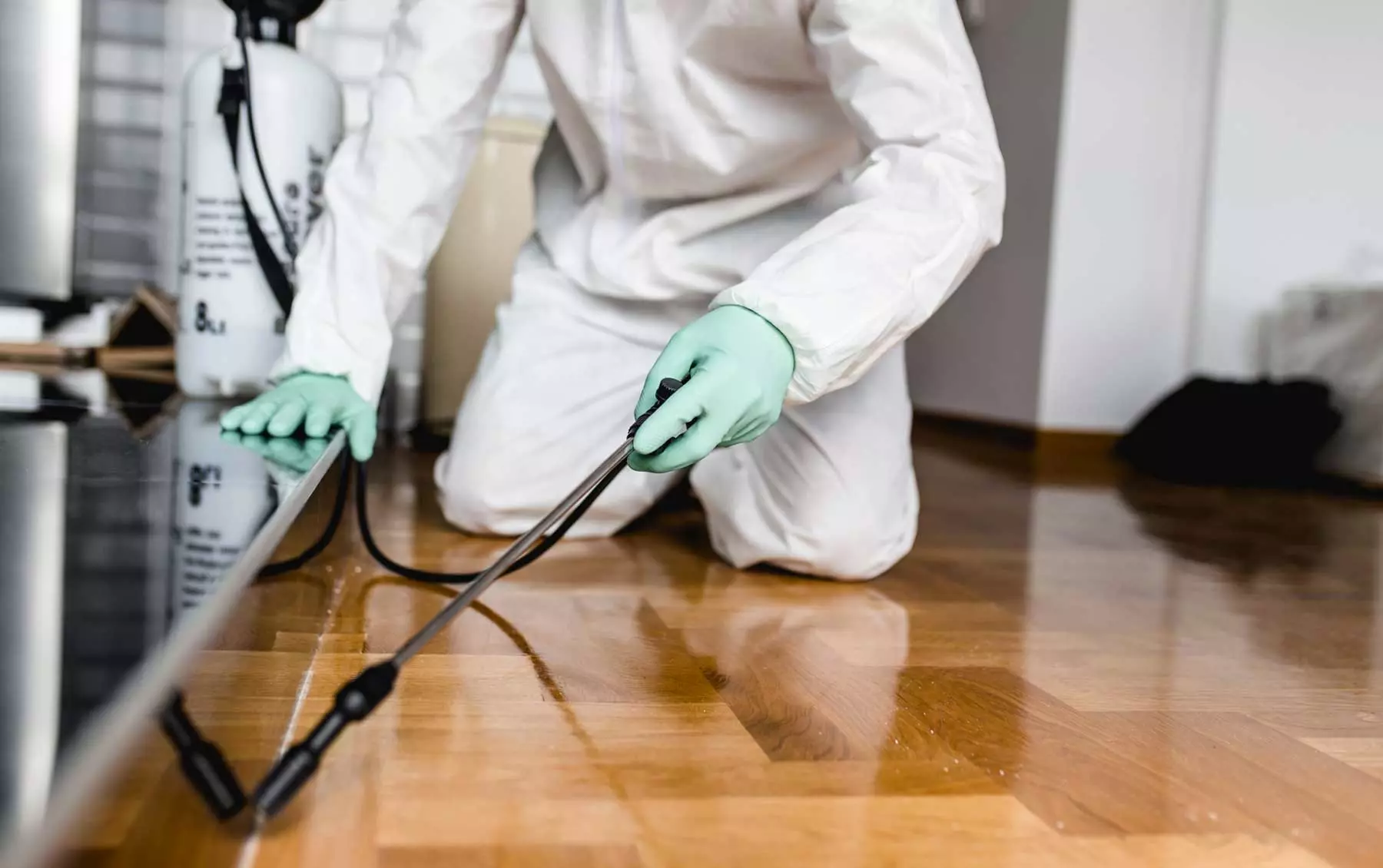 ss pest control services ram nagar in karimnagar - Photo No.14