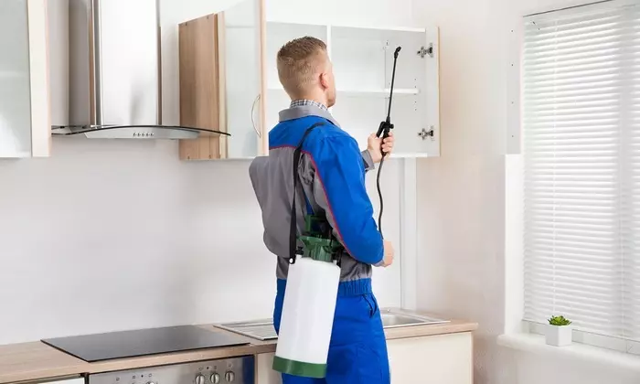 ss pest control services ram nagar in karimnagar - Photo No.10