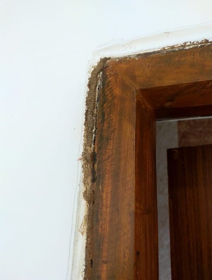 Sai Pest Control Services Hanuman Nagar In Karimnagar - Photo No. 41