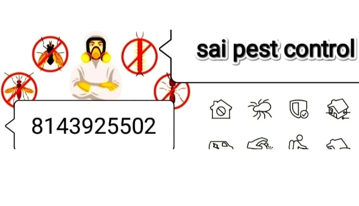 Sai Pest Control Services Hanuman Nagar In Karimnagar - Photo No. 11
