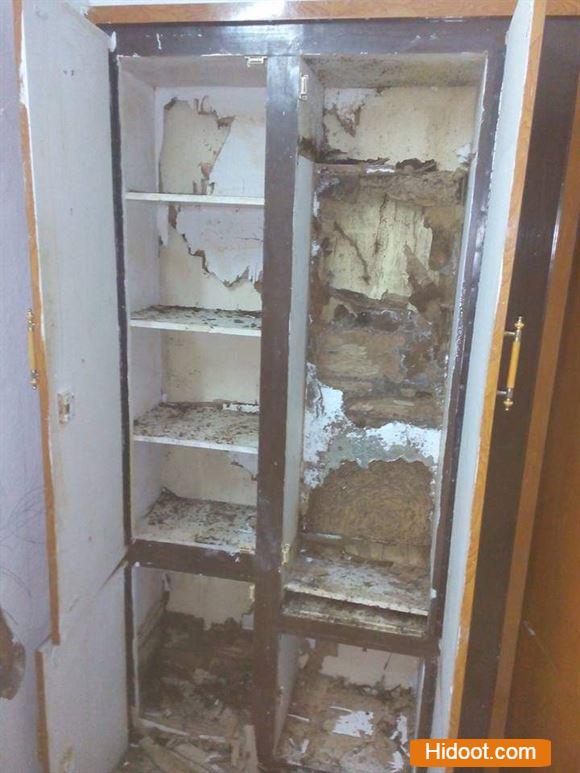 Vasavi Pest Control Services Pest Control Services Ashoknaga In Karimnagar - Photo No. 01