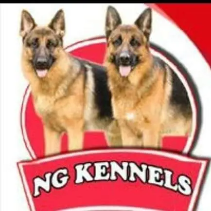 Ng Kennels Owner And Dog Breeder Mustafa Nagar In Khammam - Photo No. 01