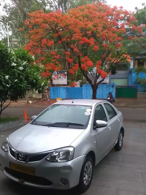 Sri Balaji Car Travels Khammam Raparthi Nagar In Khammam - Photo No. 21