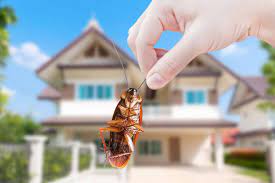 balaji pest control near bus stop in kothagudem - Photo No.9