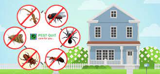 balaji pest control near bus stop in kothagudem - Photo No.6