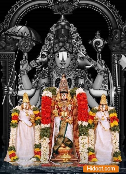 gudivada vijaya lakshmi tours and travels near gudivada in krishna - Photo No.0