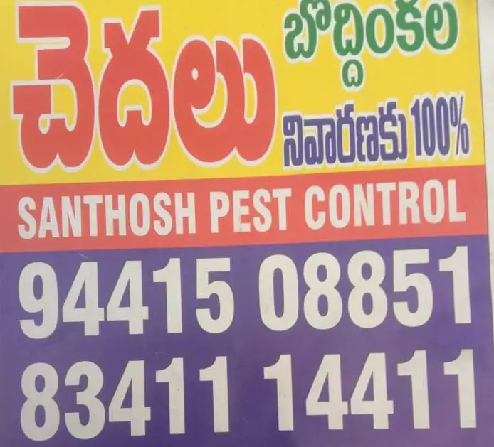 Santhosh Pest Control Sriram Nagar In Kurnool - Photo No. 01